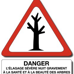 pictogramme-elagage severe